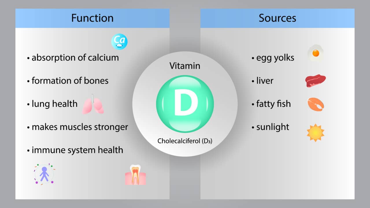 What Is The Best Vitamin D Supplement? | Article | Time 4 Nutrition