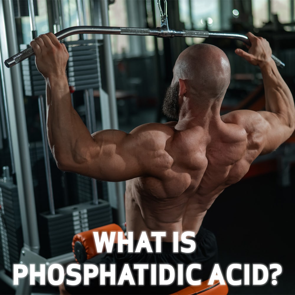 test What is Phosphatidic Acid?